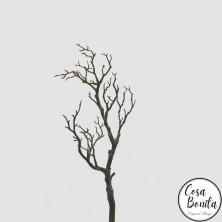 Rama de tronco de Acacia 69cm